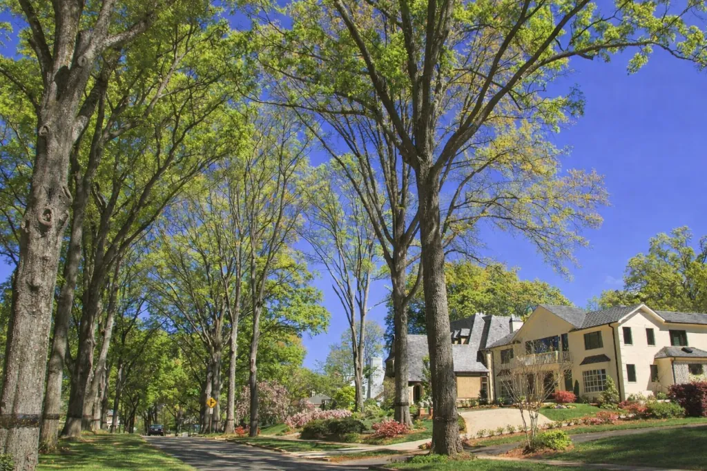 Ballantyne, Charlotte — master-planned south Charlotte community